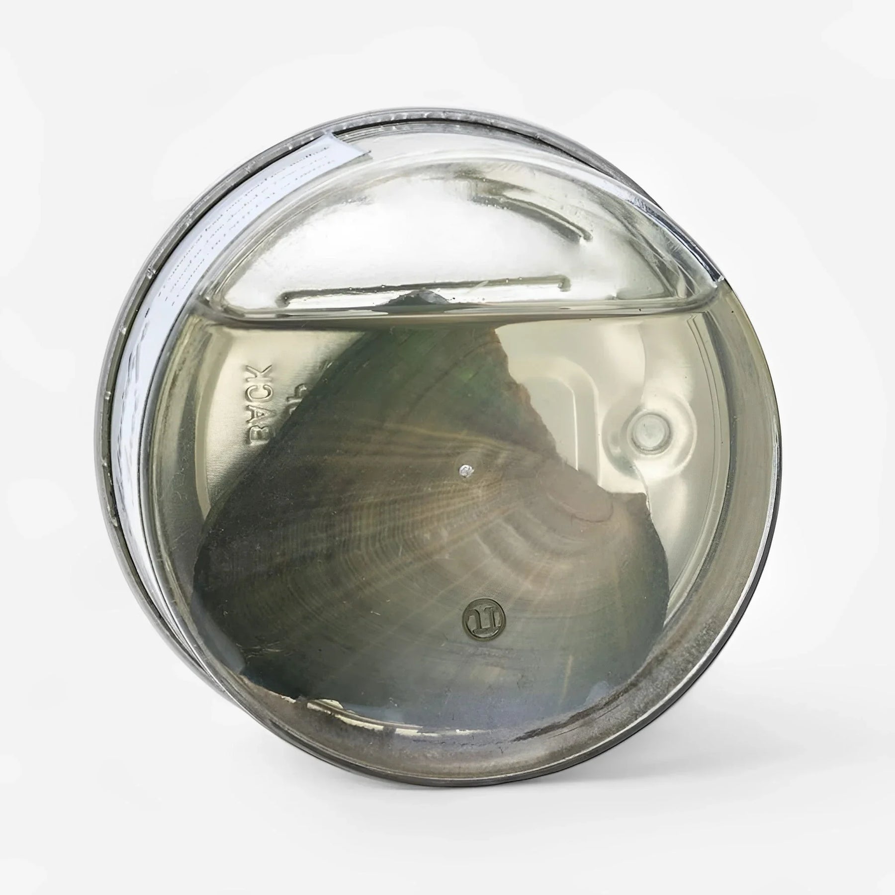 Collier Secret de la Mer - Véritable Perle d'Huître